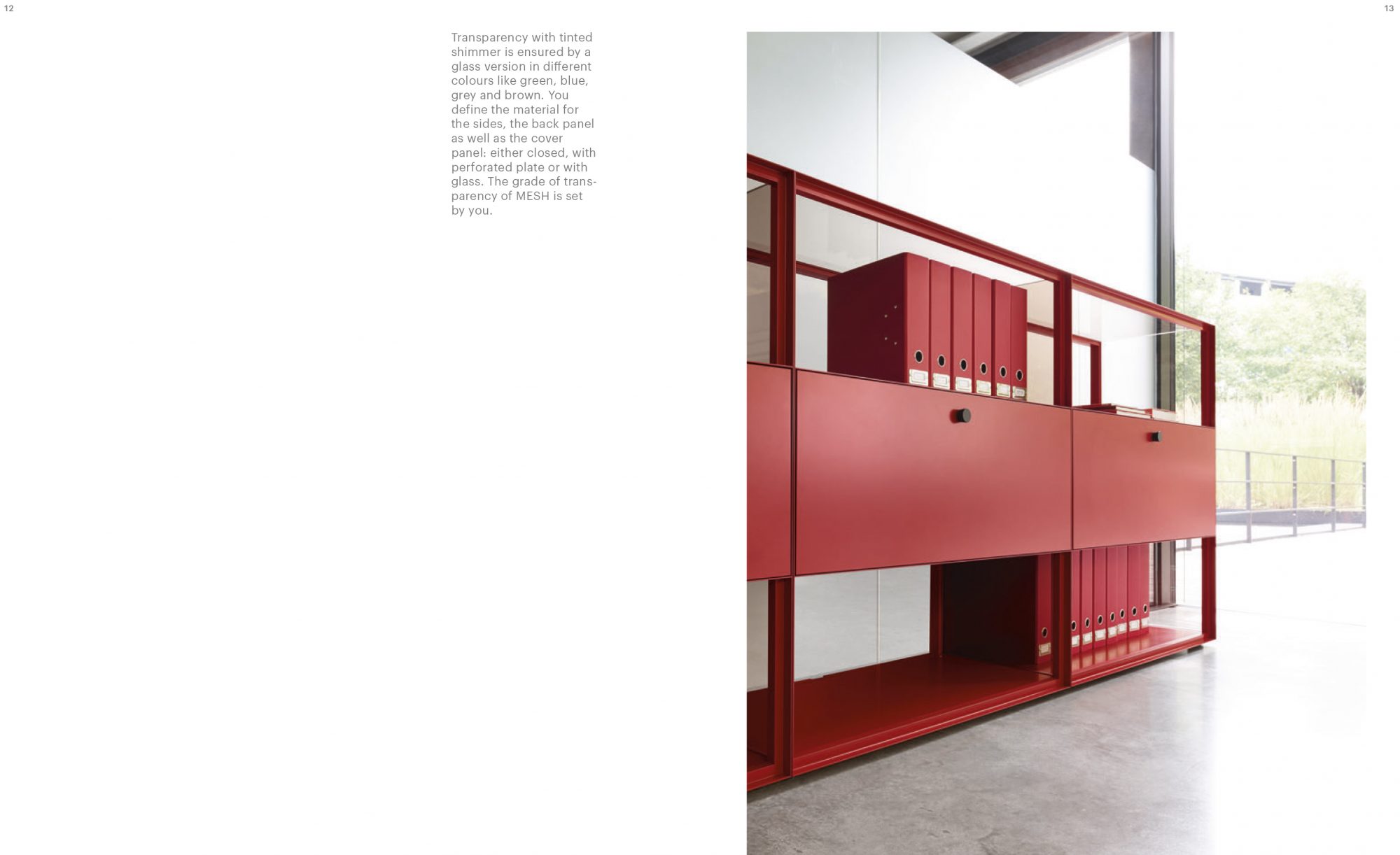 PIURE_Mesh_ENG_mail.pdf